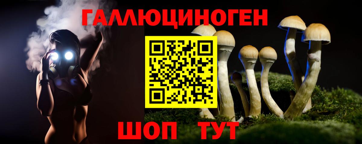 Галлюциногенные грибы Psilocybine cubensis Корсаков